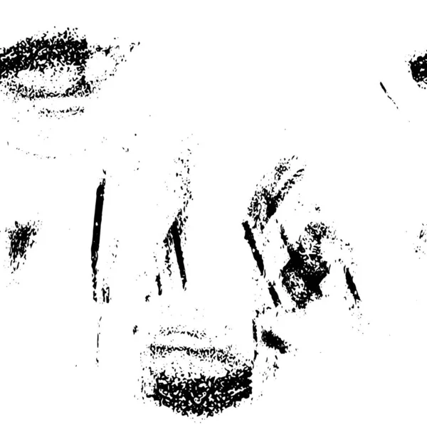 Vector Grunge Overlegg Tekstur Svart Hvit Bakgrunn Abstrakt Monokrome Illustrasjon – stockvektor