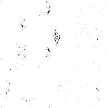 metin için alanı olan grunge vektör arkaplanı