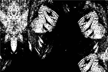 Soyut grunge arkaplanı. Monokrom dokusu. Siyah ve beyaz desenli arkaplan              