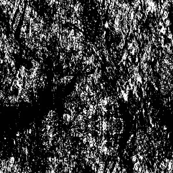 Abstrakter Schwarz Weiß Grunge Web Illustration — Stockvektor