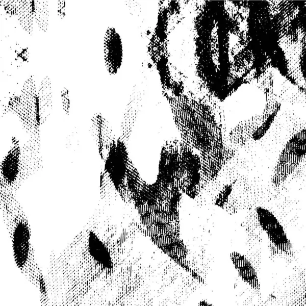 Fondo Textura Grunge Blanco Negro — Archivo Imágenes Vectoriales