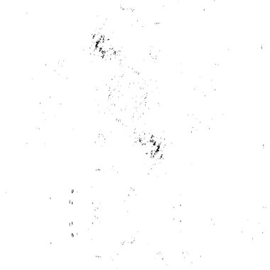 sıkıntılı siyah beyaz grunge arkaplanı