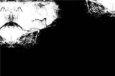 Soyut tek renkli arkaplan. Siyah ve beyaz vektör çizimi