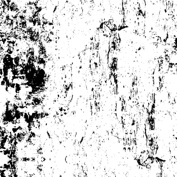 Fundo Abstrato Textura Monocromática Imagem Incluindo Efeito Tons Preto Branco — Vetor de Stock