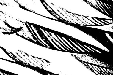 Soyut arkaplan. Monokrom dokusu. Siyah ve beyaz desenli arkaplan.