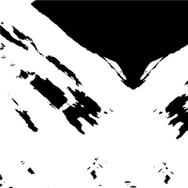 Mürekkep fırçası soyut resim. siyah ve beyaz yüzey