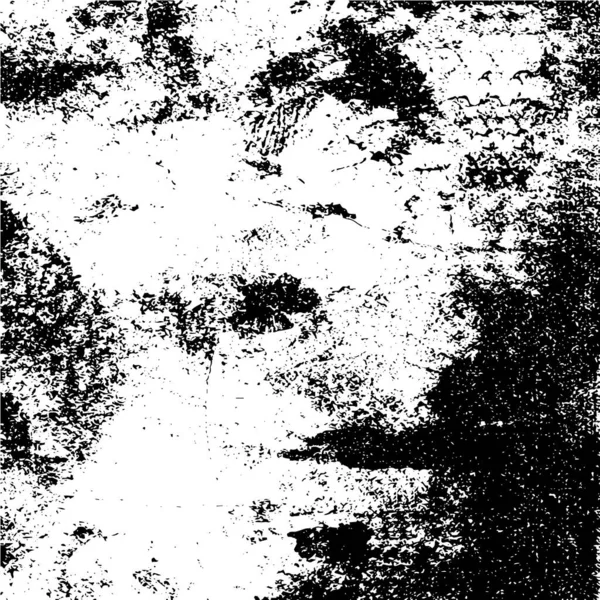 Pintura Estilo Tinta Colores Blanco Negro — Archivo Imágenes Vectoriales