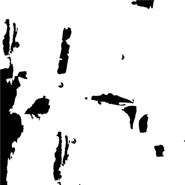 Inktpenseel Abstract Schilderen Zwart Wit Oppervlak — Stockvector