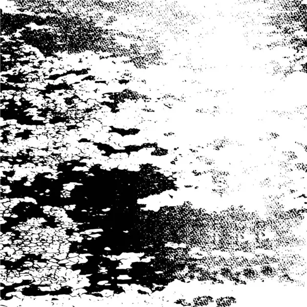 Abstraktní Pozadí Monochromní Textura Černobílé Texturované Pozadí — Stockový vektor