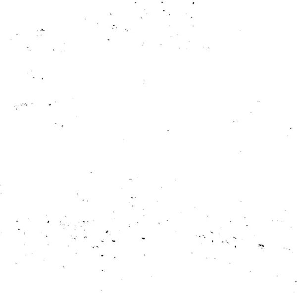 นหล าและส ขาว อเย อนท — ภาพเวกเตอร์สต็อก