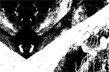 Grunge üst üste biniyor. Soyut siyah-beyaz vektör arkaplanı. Çatlak, leke ve noktalarda kirli desenli tek renkli klasik yüzey. Karanlık korku tarzında eski bir duvar.