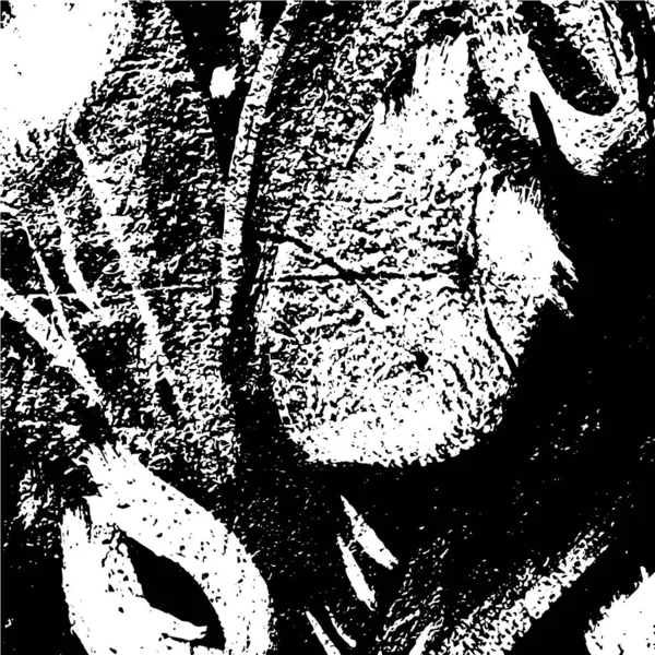 Soyut arkaplan. monokrom dokusu. sıkıntılı kaplama dokusu, grunge vektör arkaplanı.     