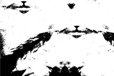 Soyut grunge arkaplanı. Monokrom dokusu. Siyah ve beyaz desenli arkaplan