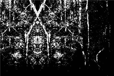 Grunge dokusu. siyah ve beyaz kaba desen.