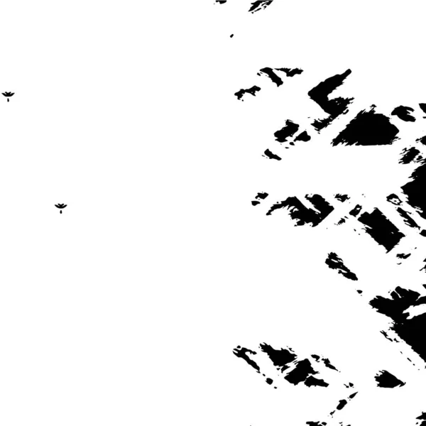 ブラックホワイトテクスチャ 抽象的な背景 — ストックベクタ