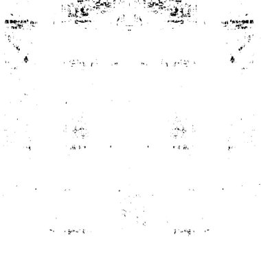 Siyah beyaz lekeli kaba duvar kağıdı tasarımı