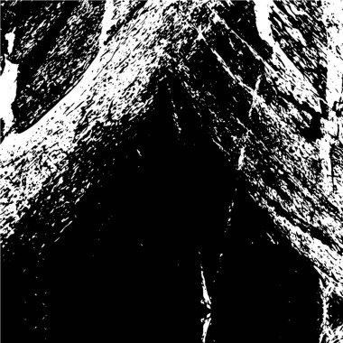 siyah ve beyaz desenli, arkaplan lekeli 