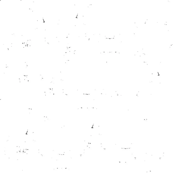 Poster Monochrome Avec Motif Décoratif Rugueux — Image vectorielle