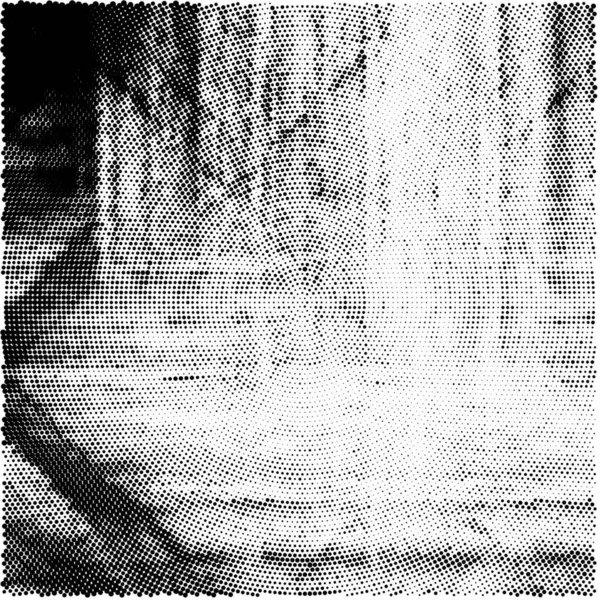 Einband Mit Chaotischen Schwarz Weißen Flecken Abstrakter Hintergrund — Stockvektor
