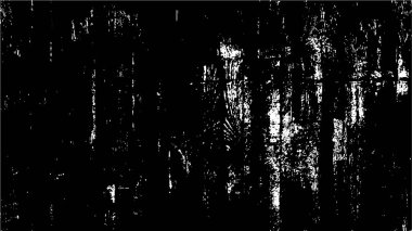 Grunge dokusu. siyah ve beyaz kaba desen.