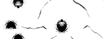 Soyut arkaplan. Monokrom dokusu. Resim siyah ve beyaz tonları içerir.