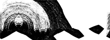 Soyut arkaplan. Monokrom dokusu. Resim siyah ve beyaz tonları içerir.