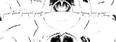 Soyut arkaplan. Monokrom dokusu. Resim siyah ve beyaz tonları içerir.