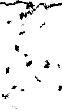 soyut arkaplan, siyah ve beyaz doku 