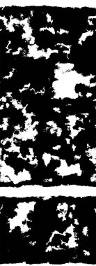 Siyah beyaz arka plan. tek renkli arkaplan.            