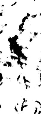  siyah ve beyaz desenli arkaplan. 