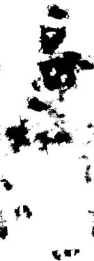 soyut siyah ve beyaz desenli arkaplan. 