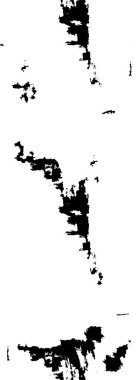 siyah ve beyaz grunge arkaplanı