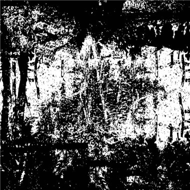 siyah ve beyaz grunge arkaplanı