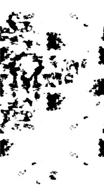 Grunge üst üste biniyor. Soyut siyah-beyaz vektör arkaplanı. Çatlak, leke ve noktalarda kirli desenli tek renkli klasik yüzey. Karanlık korku tarzında eski bir duvar.