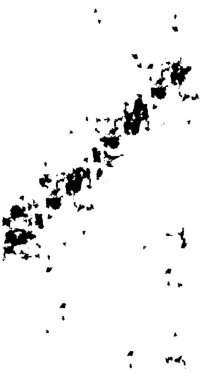 Grunge üst üste biniyor. Soyut siyah-beyaz vektör arkaplanı. Çatlak, leke ve noktalarda kirli desenli tek renkli klasik yüzey. Karanlık korku tarzında eski bir duvar.