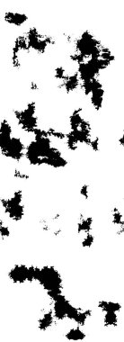 Soyut grunge dokusu, siyah beyaz arkaplan. vektör illüstrasyonu   