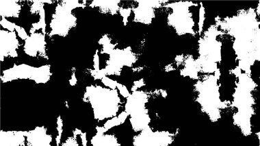 Vektör soyut şablonu. siyah ve beyaz doku