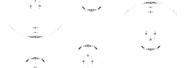 Vektör soyut şablonu. siyah ve beyaz doku