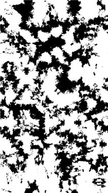 Vektör soyut şablonu. siyah ve beyaz doku