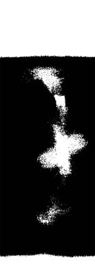 Grunge üst üste biniyor. Soyut siyah-beyaz vektör arkaplanı. Çatlak, leke ve noktalarda kirli desenli tek renkli klasik yüzey. Karanlık korku tarzında eski bir duvar.