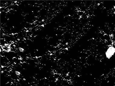 Soyut tek renkli arkaplan. Siyah ve beyaz vektör çizimi