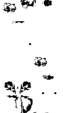 Soyut tek renkli arkaplan. Siyah ve beyaz vektör çizimi