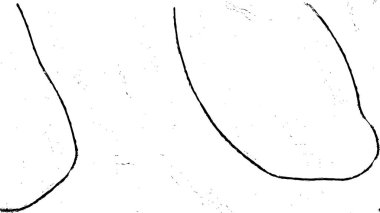 Soyut tek renkli arkaplan. Siyah ve beyaz vektör çizimi