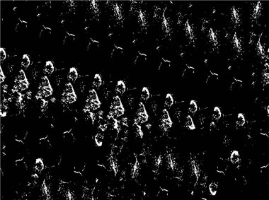 Soyut yaratıcı mürekkep çizimi. grunge dokusu