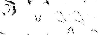 Soyut grunge arkaplanı. siyah ve beyaz desen