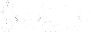 Vektör grunge dokusu. Siyah ve beyaz soyut arka plan. Bölüm 10