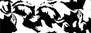 Soyut grunge arkaplanı. Monokrom dokusu. Siyah ve beyaz desenli arkaplan