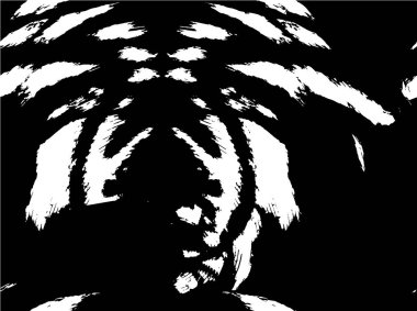 Soyut grunge arkaplanı. Monokrom dokusu. Siyah ve beyaz desenli arkaplan