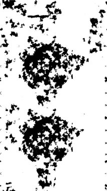 soyut eski grunge vintage arkaplanı siyah ve beyaz