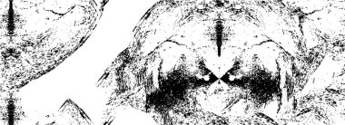 Vektör grunge dokusu. Metnin ya da resmin için boş olan eski kağıt.